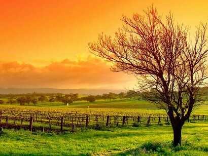 El desarrollo es un derecho humano inalienable