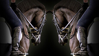 GK Horses