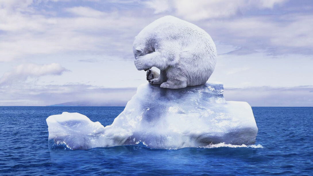 Ecologists, activists and scientists are not satisfied with the current situation