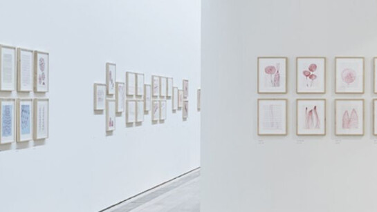 Louise Bourgeois. Courtesy of Fondation Beyeler