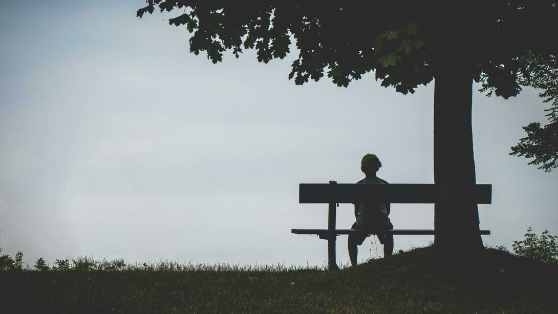 A lone figure sitting on a bench beneath a tree, capturing a quiet moment of solitude