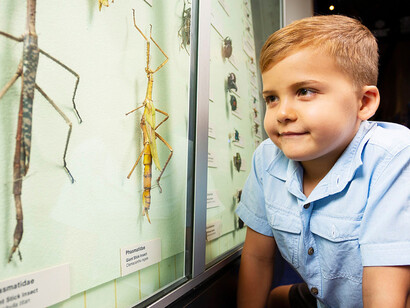 Discover tropical Queensland, exhibition view. Courtesy of Queensland Museum Tropics