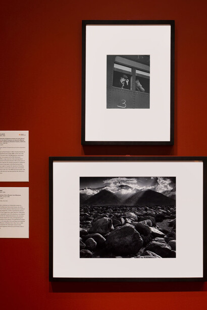 Photography. Courtesy of Princeton University Art Museum