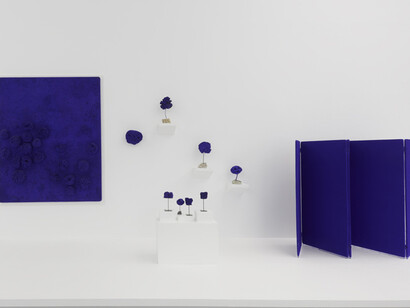 Yves Klein, Exhibition view. Courtesy of MUAC