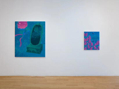 Anna Ortiz, Shapeshifter, exhibition view. Courtesy of Chart