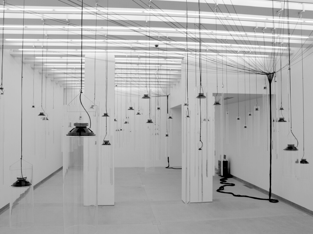 Roberto Pugliese, Emergenze acustiche, 2014_Courtesy Associazione Culturale Dello Scompigio, Capannori e Galleria Mario Mazzoli, Berlino_Foto Donatella Lombardo