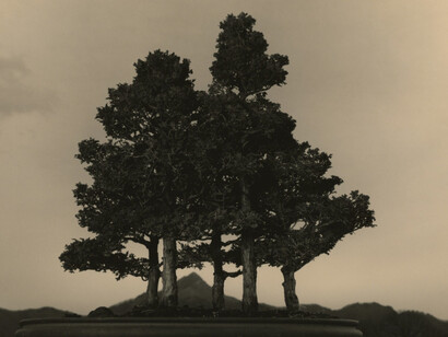Masao Yamamoto. Courtesy of Mizuma Art Gallery 
