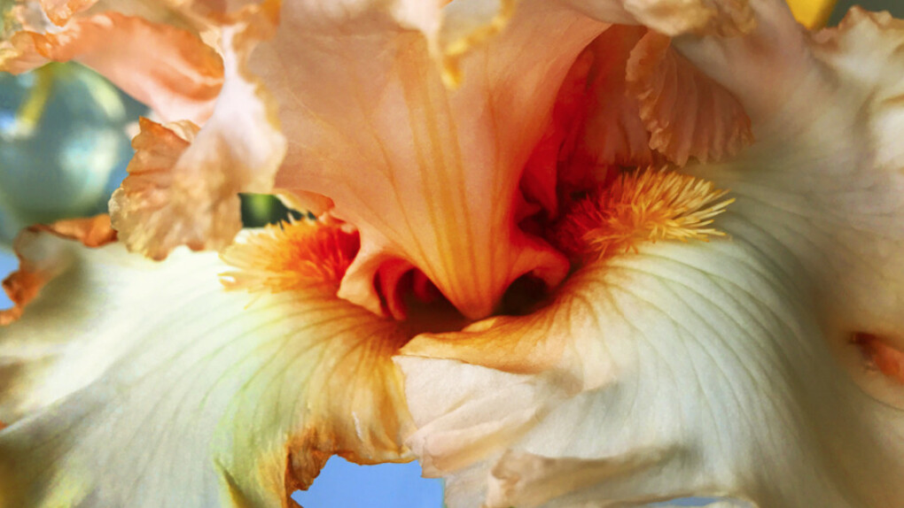 Joel Grey. Courtesy of Staley-Wise Gallery