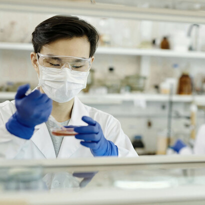 Las hormonas y los neurotransmisores afectan a muchos aspectos del comportamiento, que no está simplemente ligado al cerebro