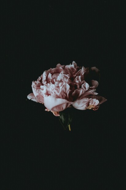 Con i fiori a km zero si riscopre un contatto sensato con Madre Natura, non si danneggia l’ambiente, né la salute delle persone