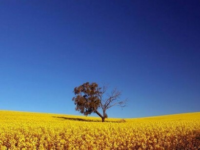 Environment is much more than a house