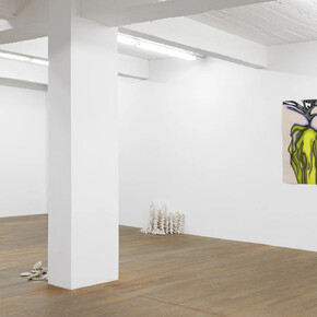 Frédérique Lucien, Pensées vagabondes, vue d'exposition. Avec l'aimable autorisation de la Galerie Backslash