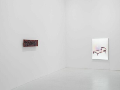 Ran Zhang, Dark romance, exhibition view. Courtesy of Plan B Gallery
