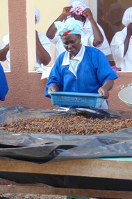 Secadero para las almejas y ostras en la isla de Niodior, Senegal