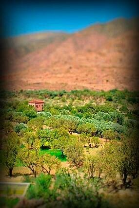 Sunny day in Al Haouz, Morocco