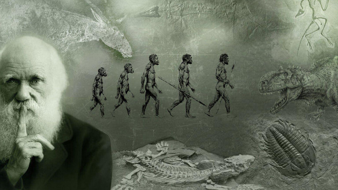 Charles Darwin l’innovatore