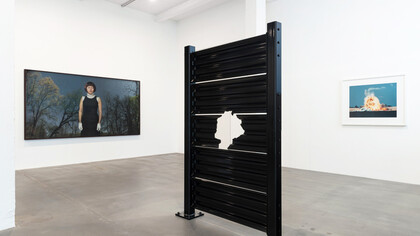 Installation view, artworks from left to right: © 2020 Cindy Sherman, © Banks Violette, © Taryn Simon, ph. Lucy Dawkins