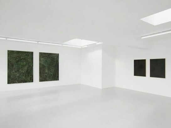 Daniel Lefcourt, Cast, Installation view, 13 February – 22 March 2014, Campoli Presti, London, Courtesy of Campoli Presti, London / Paris
