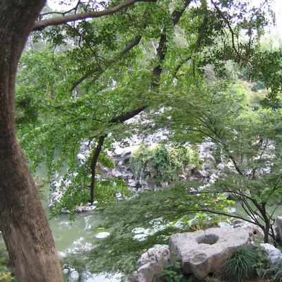Suzhou, jardim. Fotografia Albion, 2005
