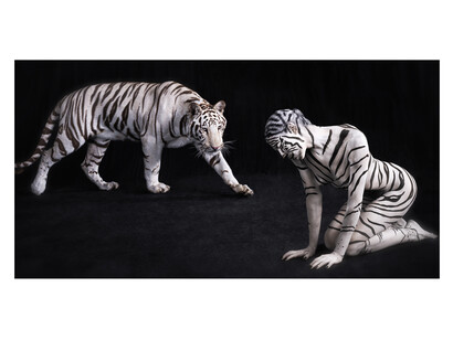Lennette Newell, White Tiger, Archival pigment print on Hahnemühle Fine Art paper, 100 x 76 cm, Edition of 9 © Lennette Newell, 2011