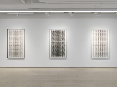 Michal Rovner. Courtesy of Pace Gallery