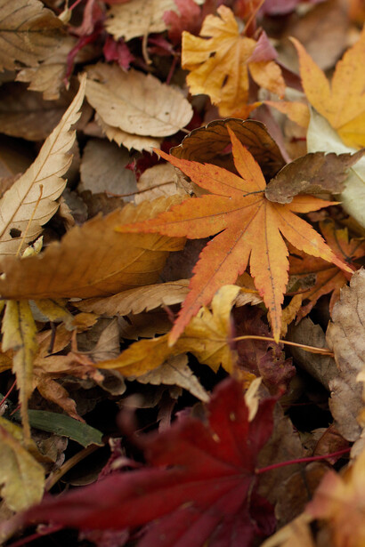 In autunno, fare attenzione a non prendere freddo