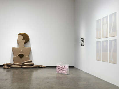 Nicola L, ausstellungsansicht. Mit freundlicher genehmigung der Kunsthalle Wien