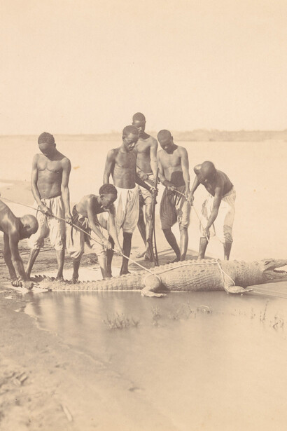 Egyptian dreamworld. Courtesy of Museum Rietberg