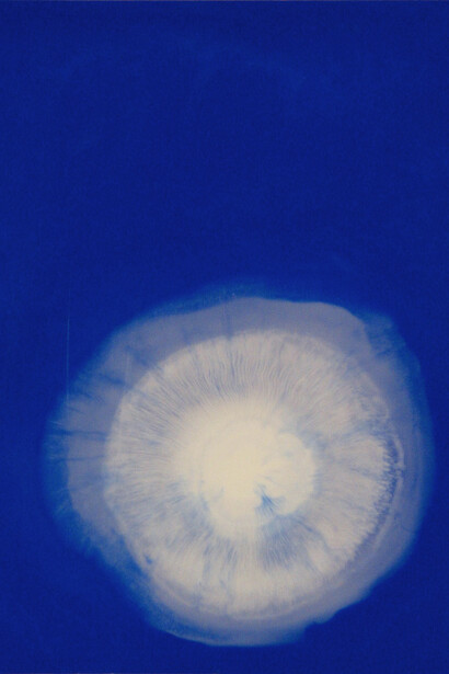 Peter Flaccus, Wave (detail), 2003. Courtesy of Maja Arte Contemporanea