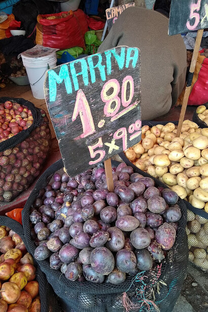 Variedades de papa a la venta en el Mercado Modelo de Huancayo, Perú