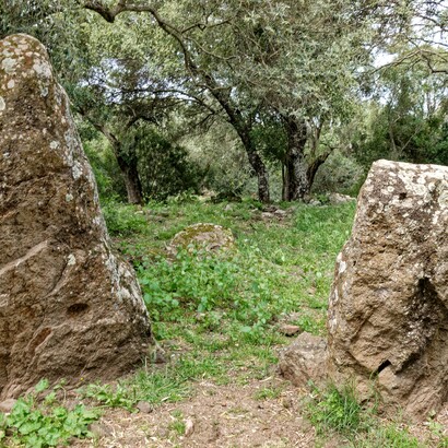 Area archeologica del santuario nuragico di Santa Cristina, Paulilatino, Oristano, Italia. Foto di Holger Uwe Schmitt