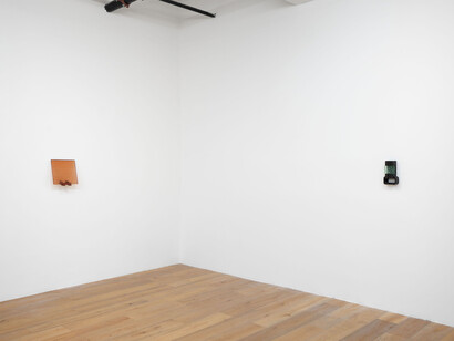 Sula Bermudez-Silverman, Mole, mold, molt, exhibition view. Courtesy of Hannah Hoffman Gallery