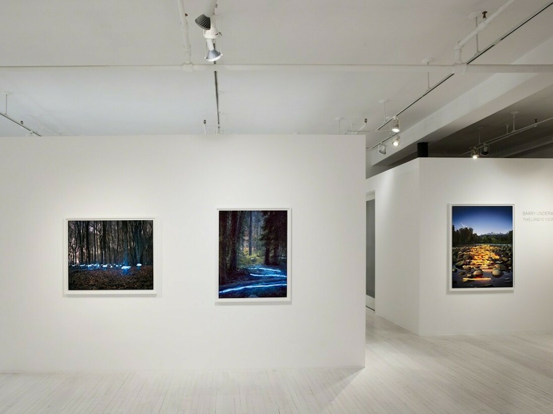 This Land is your Land, Exhibition view. Courtesy of Sous Les Etoiles Gallery