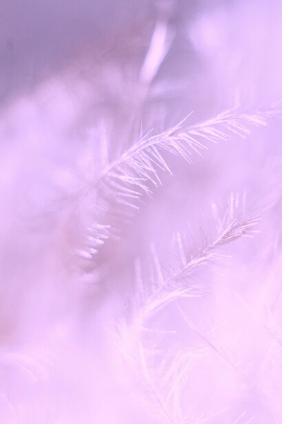 Vontades, sonhos e convicções