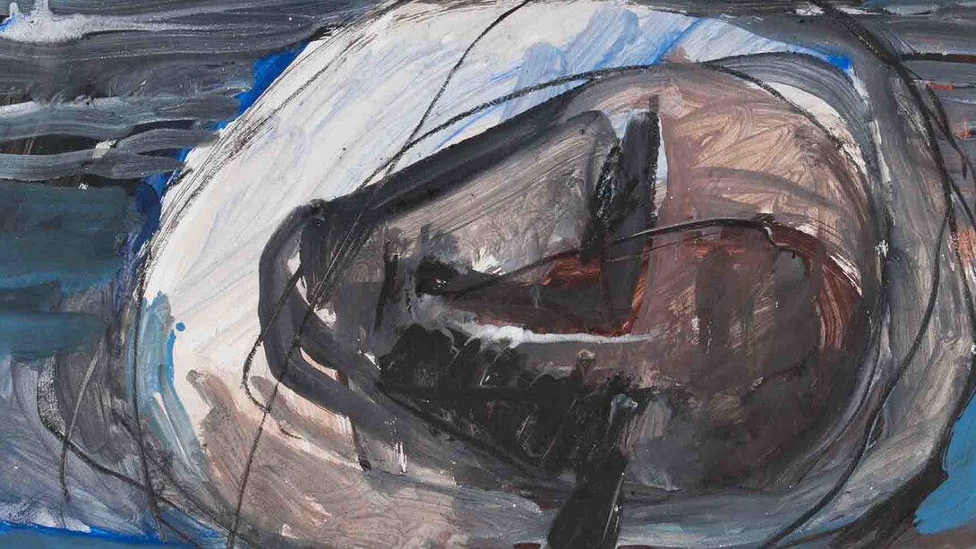 Wild Thing. Courtesy of Aargauer Kunsthaus 