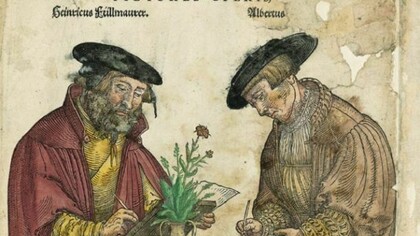 Gli illustratori Albrect Mayer e Heinrich Fullmaurer