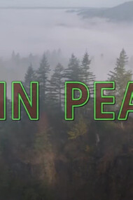 The Twin Peaks title card hints at the show's exploration of the hidden darkness beneath the surface of a seemingly idyllic town