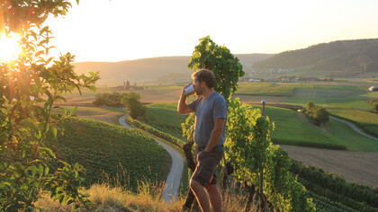 Discover the visionary winemaking journey of Hoss Hauksson, the pioneering Icelandic vintner behind Switzerland's thriving vineyards