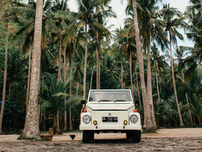 A vintage beach buggy among a palm forest