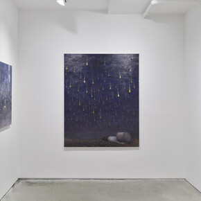 Kaz Watabe, Stray, exhibition view. Courtesy of Seizan Gallery