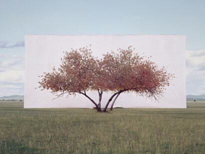 Visions of Nature. Courtesy of Kunst Haus Wien