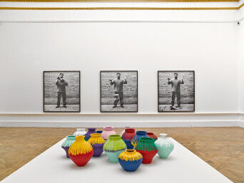 Coloured vases
