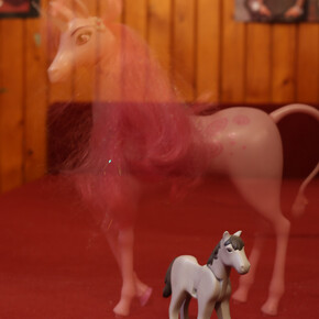 Experiencing Images. Courtesy of Robert Capa Contemporary Photography Center