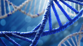 The self-replication od DNA