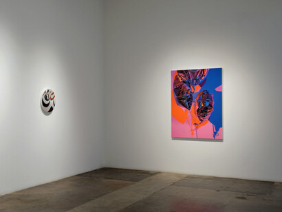 Shannon Cannings, Distortions, exhibition view. Courtesy of Cris Worley Fine Arts