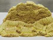 Entangled in the Everyday. Courtesy of ICA Boston