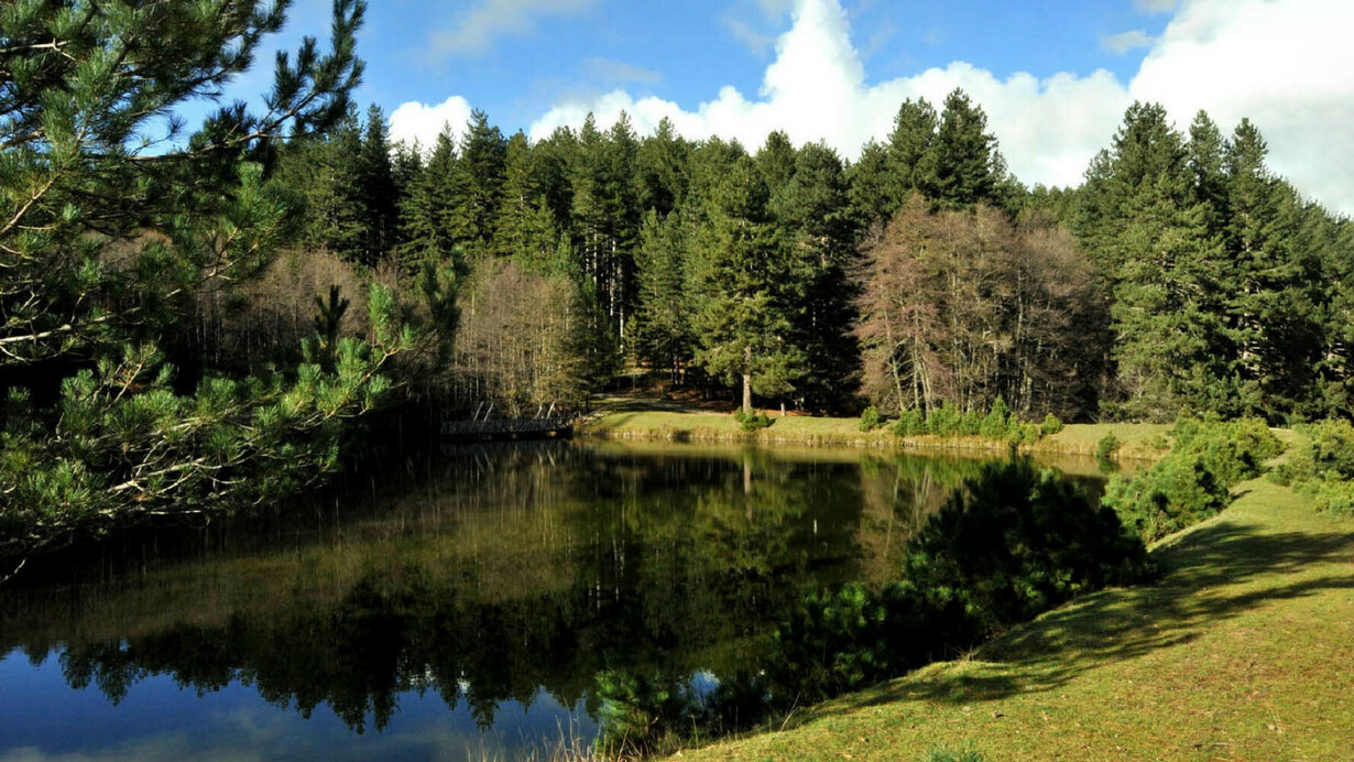 Il Parco Nazionale della Sila
