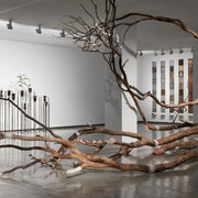 Janet Laurence. Courtesy of MCA