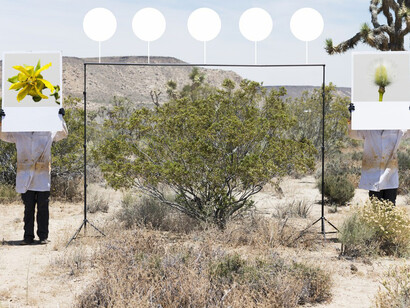 Wander, Invent. Courtesy of Joshua Tree