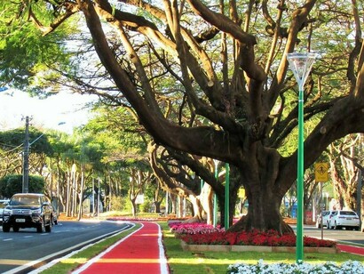 Avenida Cerro Azul, em Maringá. Hoje, quando lembro daquele período, não penso apenas nas restrições ou no medo. Penso no pôr do sol dourando as árvores da Avenida Cerro Azul, no cheiro de chuva que anunciava o fim da tarde, nas conversas com desconhecidos que se tornaram amigos. Penso no quanto aquela cidade me fez bem num momento em que tudo parecia desabar

